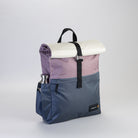 shell-grape-navy